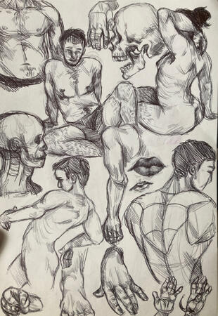 anatomical practice